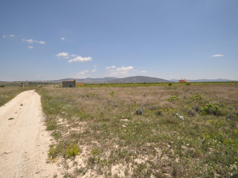 Plot for Sale in Pinoso, Alicante 14