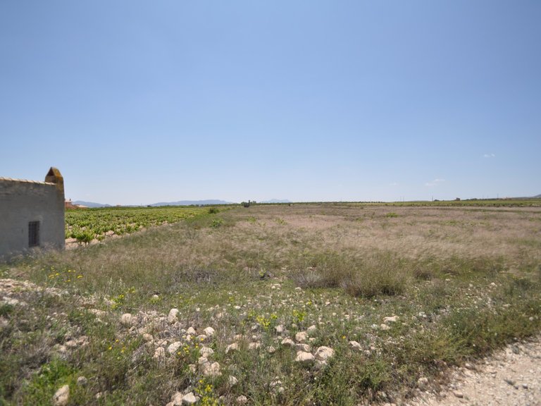 Plot for Sale in Pinoso, Alicante 10