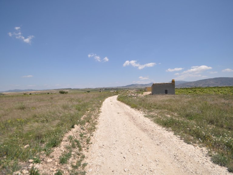 Plot for Sale in Pinoso, Alicante 8