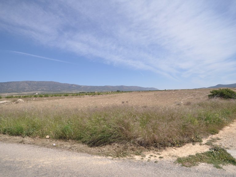 Plot for Sale in Pinoso, Alicante 6