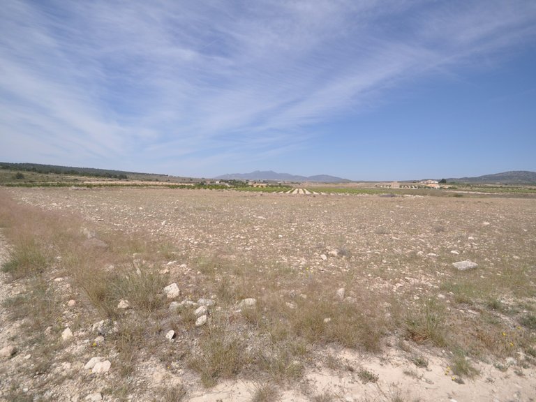 Plot for Sale in Pinoso, Alicante 9
