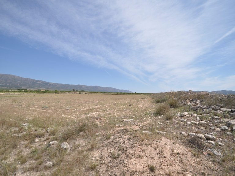 Plot for Sale in Pinoso, Alicante 15