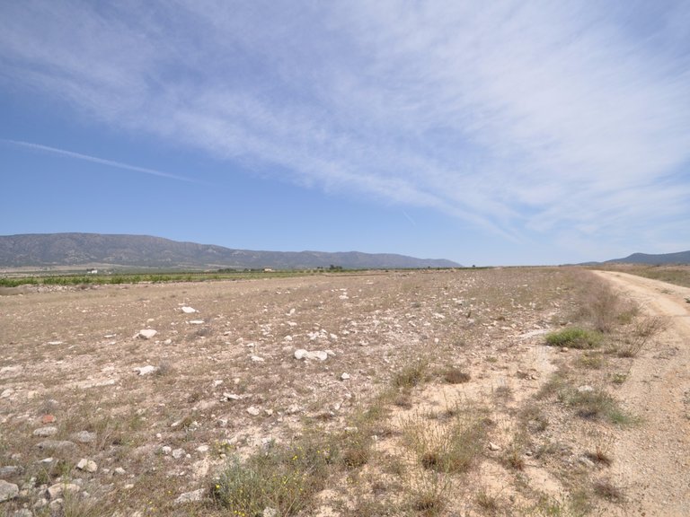 Plot for Sale in Pinoso, Alicante 5