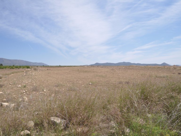 Plot for Sale in Pinoso, Alicante 7