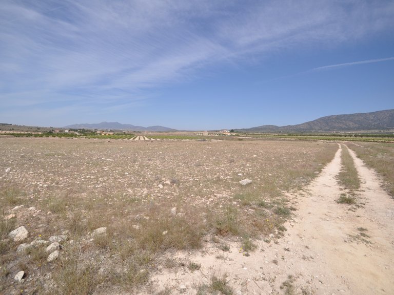 Plot for Sale in Pinoso, Alicante 10
