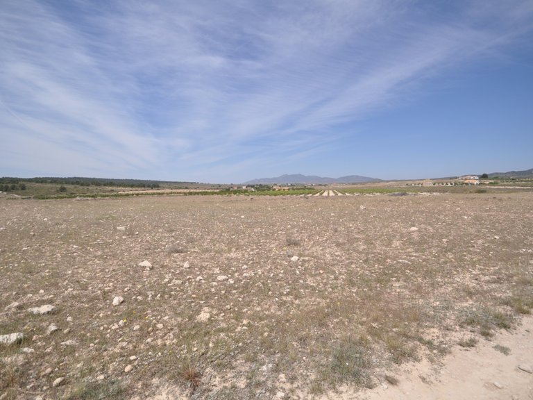 Plot for Sale in Pinoso, Alicante 11