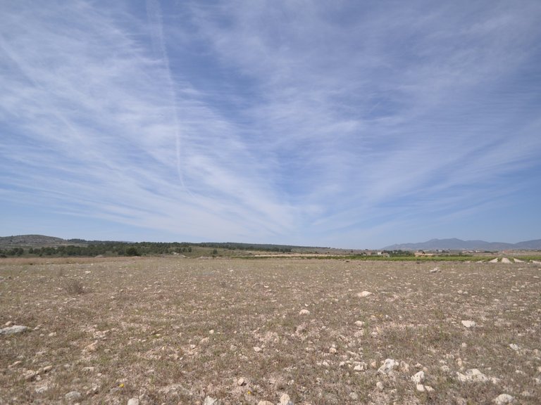 Plot for Sale in Pinoso, Alicante 1