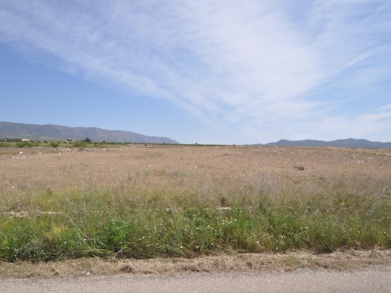 Plot for Sale in Pinoso, Alicante 8