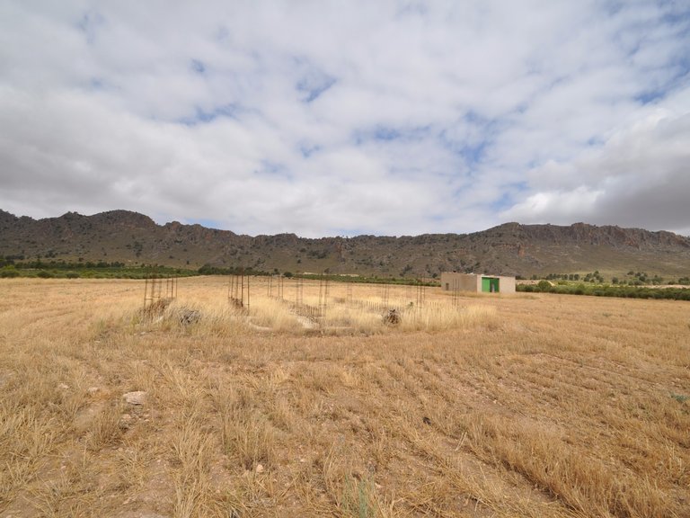 Plot for Sale in Yecla, Murcia 5