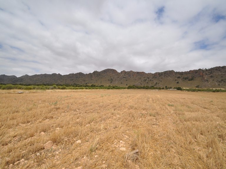 Plot for Sale in Yecla, Murcia 12