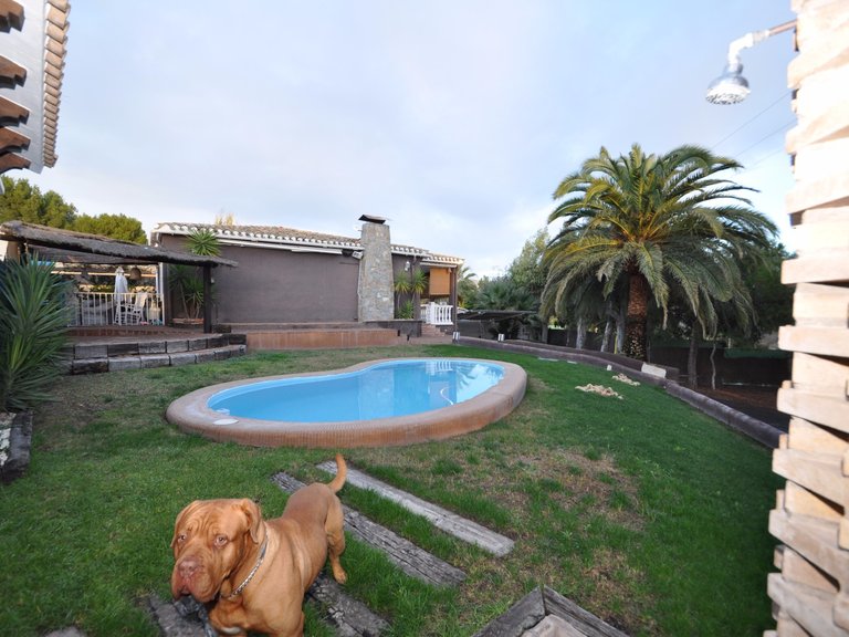Villa for Sale in Monovar, Alicante 3