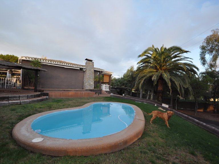 Villa for Sale in Monovar, Alicante 4