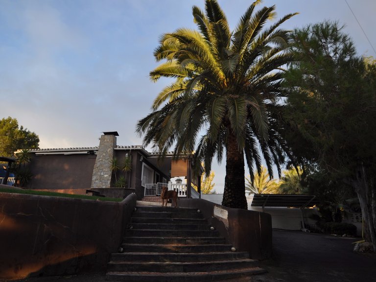 Villa for Sale in Monovar, Alicante 18