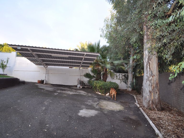 Villa for Sale in Monovar, Alicante 20
