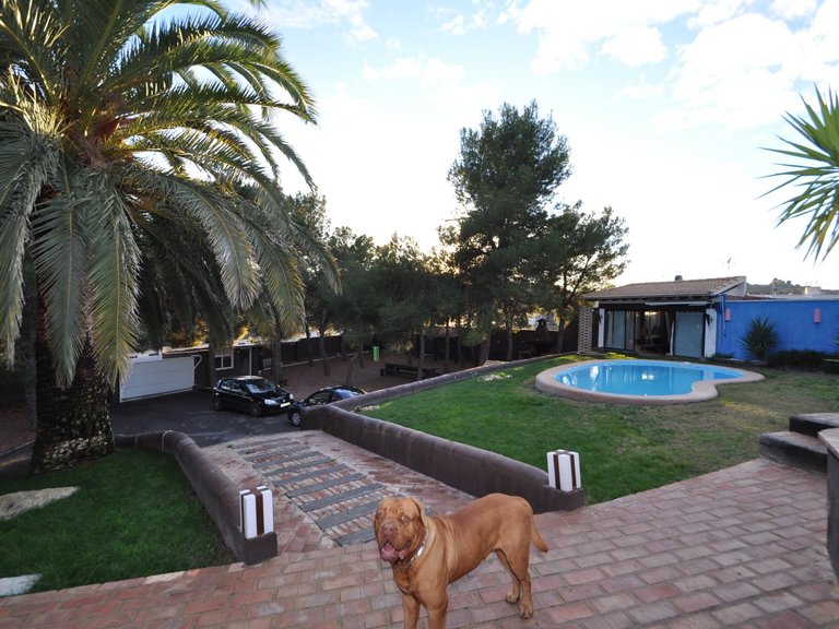 Villa for Sale in Monovar, Alicante 26