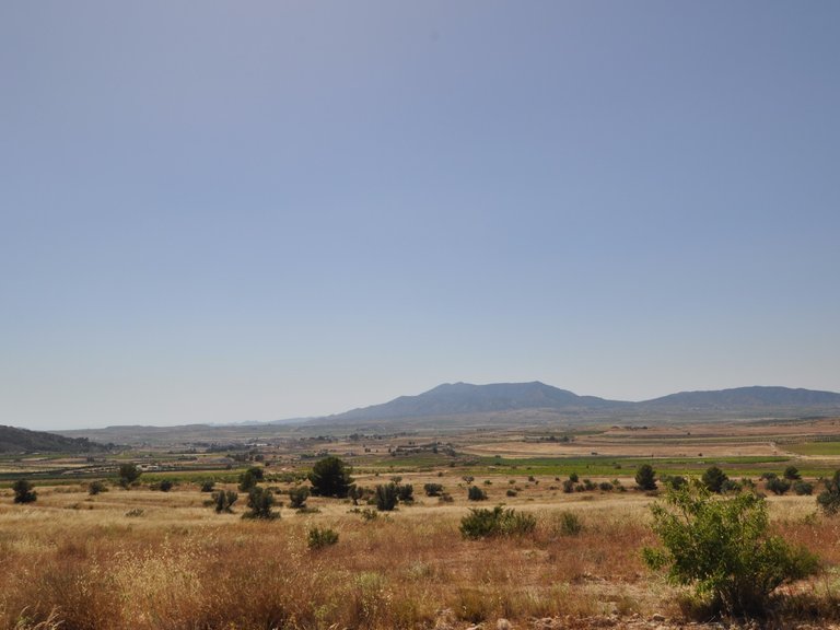 Plot for Sale in Pinoso, Alicante 1