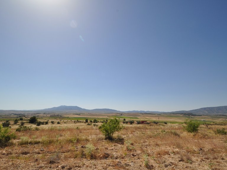 Plot for Sale in Pinoso, Alicante 2