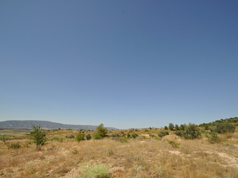 Plot for Sale in Pinoso, Alicante 7