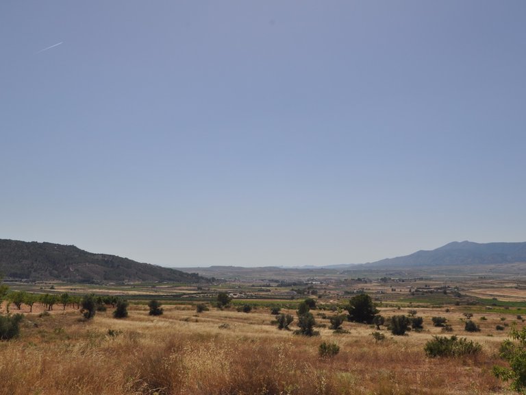 Plot for Sale in Pinoso, Alicante 6