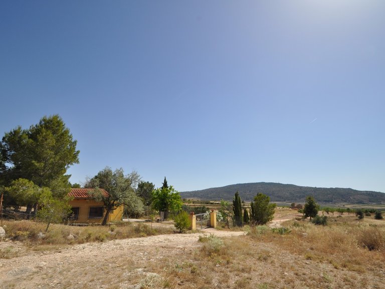 Plot for Sale in Pinoso, Alicante 5