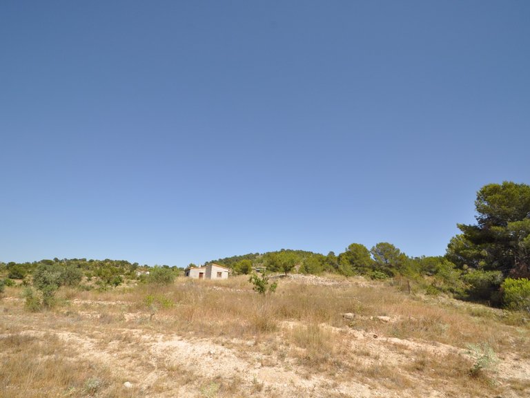 Plot for Sale in Pinoso, Alicante 9