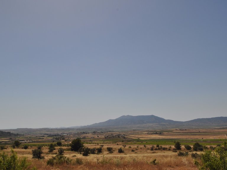 Plot for Sale in Pinoso, Alicante 3