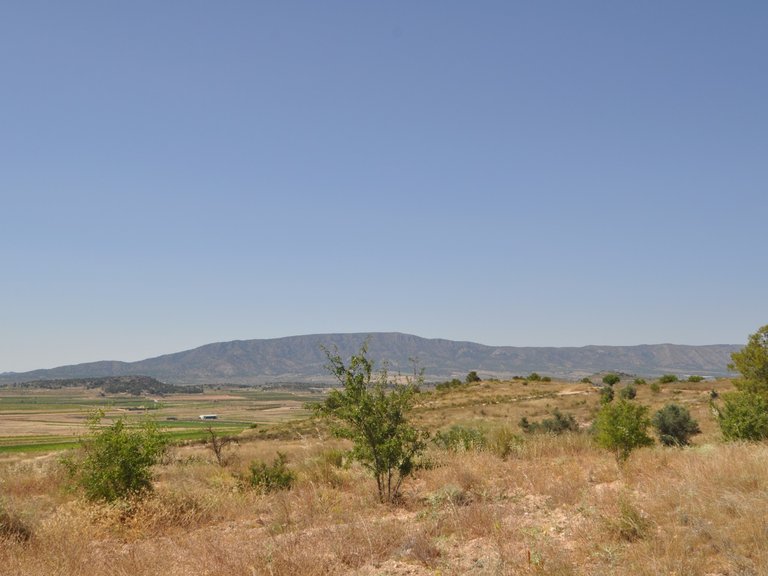 Plot for Sale in Pinoso, Alicante 8