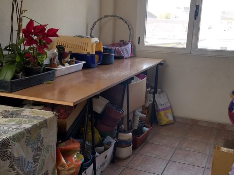 Town House for Sale in Pinoso, Alicante 12