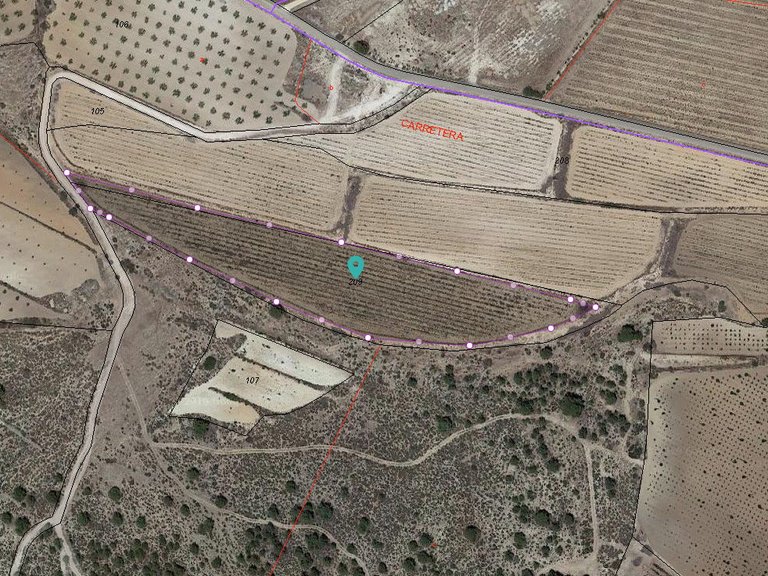 Plot for Sale in Pinoso, Alicante 4