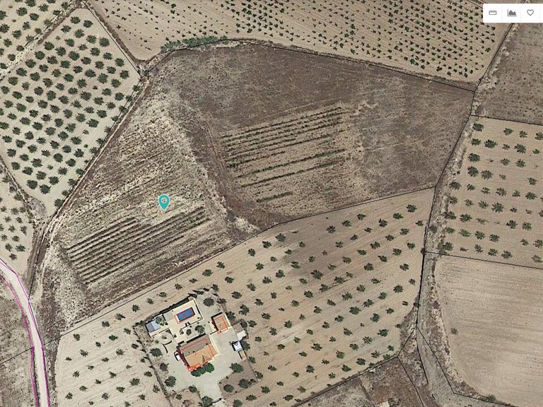 Plot for Sale in Pinoso, Alicante 3