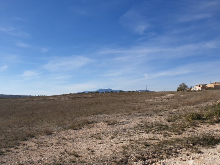 Plot for Sale in Pinoso, Alicante 2