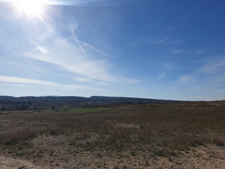 Plot for Sale in Pinoso, Alicante 7