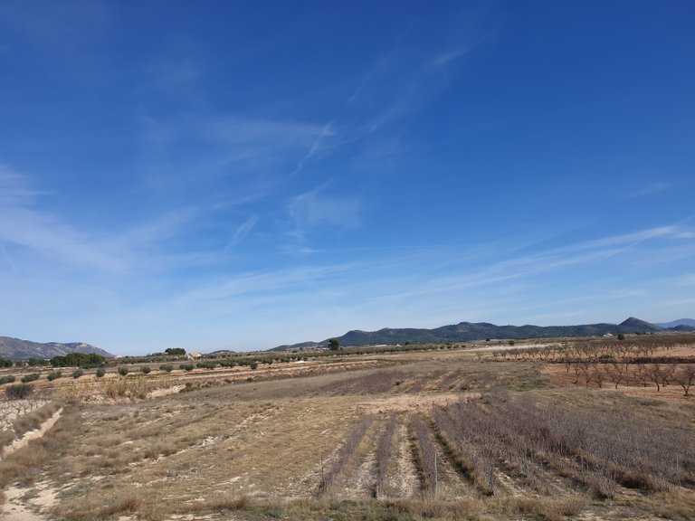 Plot for Sale in Pinoso, Alicante 1