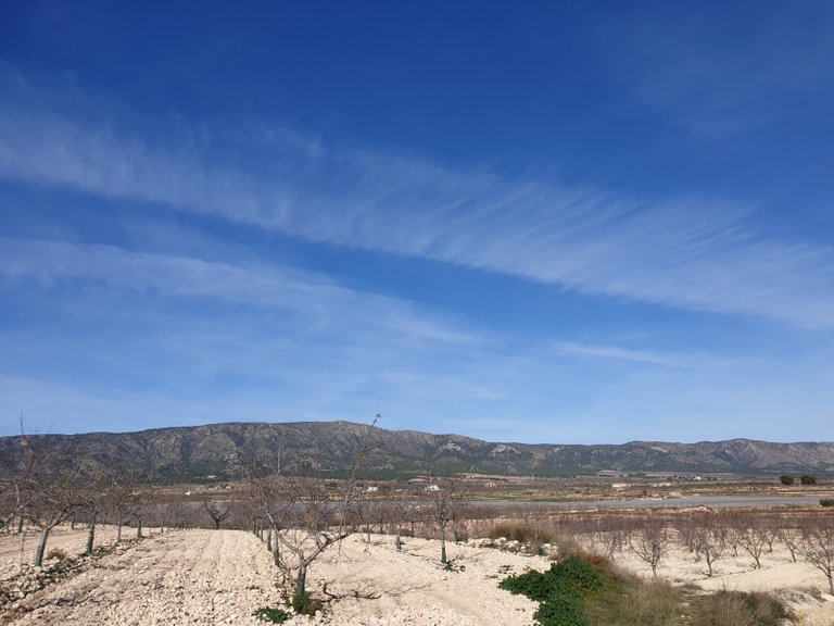Plot for Sale in Pinoso, Alicante 6