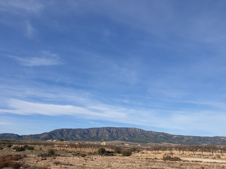 Plot for Sale in Pinoso, Alicante 8