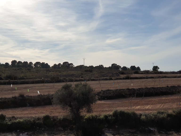 Plot for Sale in Pinoso, Alicante 15