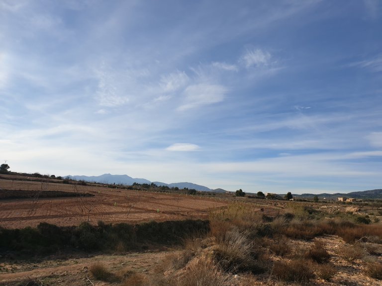 Plot for Sale in Pinoso, Alicante 11
