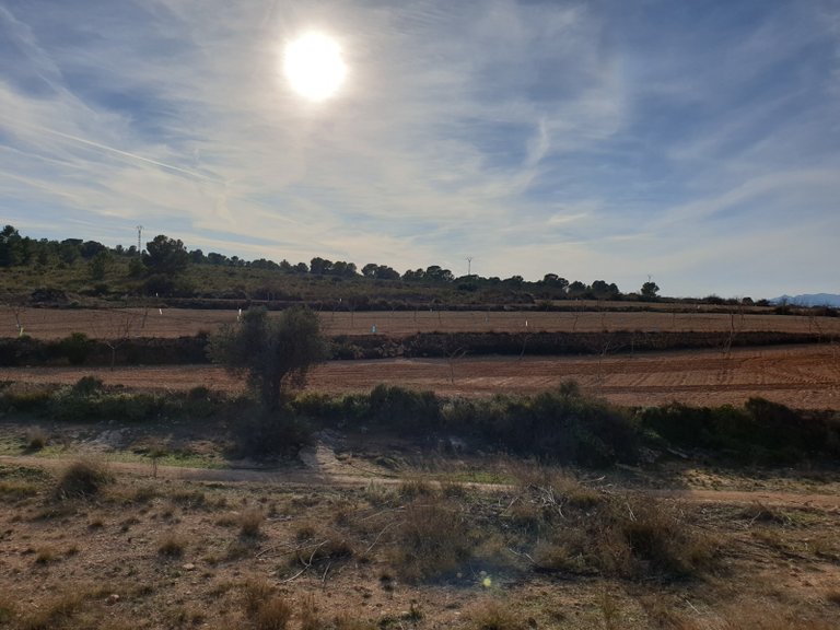 Plot for Sale in Pinoso, Alicante 5
