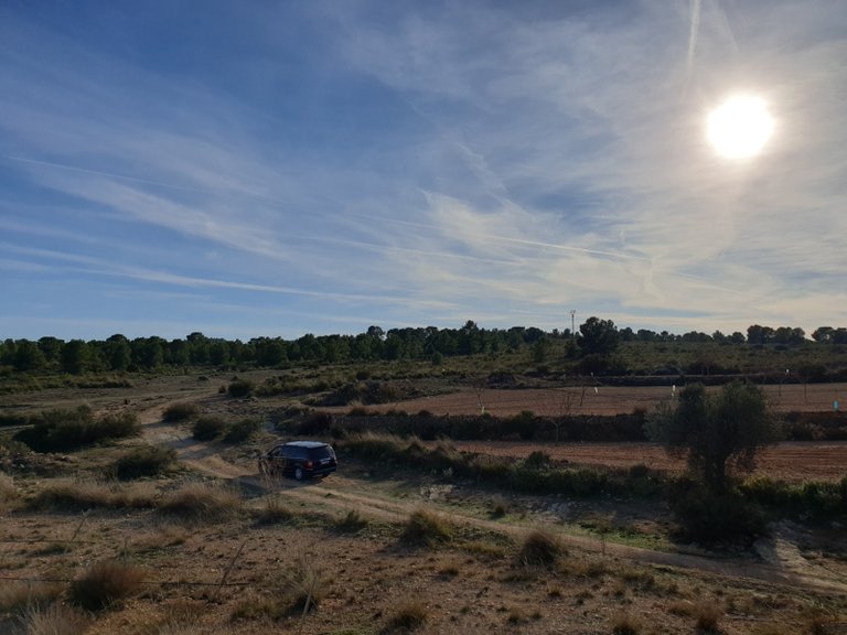 Plot for Sale in Pinoso, Alicante 13