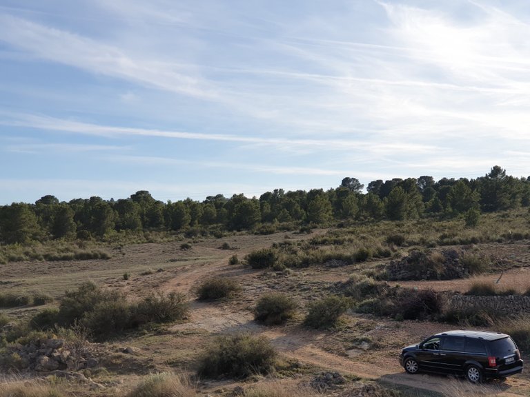 Plot for Sale in Pinoso, Alicante 2