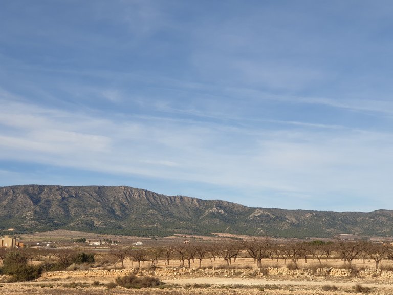 Plot for Sale in Pinoso, Alicante 16