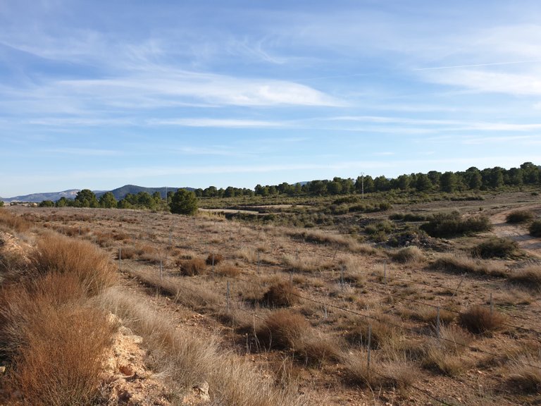 Plot for Sale in Pinoso, Alicante 12