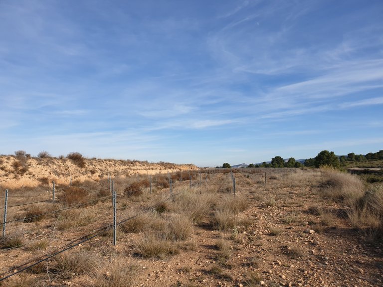 Plot for Sale in Pinoso, Alicante 10