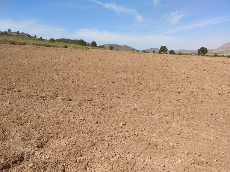 Plot for Sale in Yecla, Murcia 6