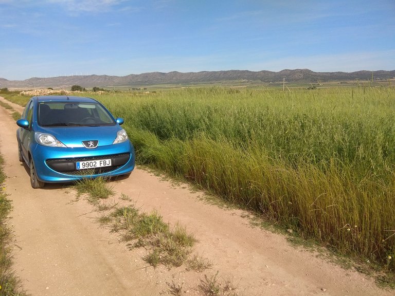 Plot for Sale in Yecla, Murcia 5