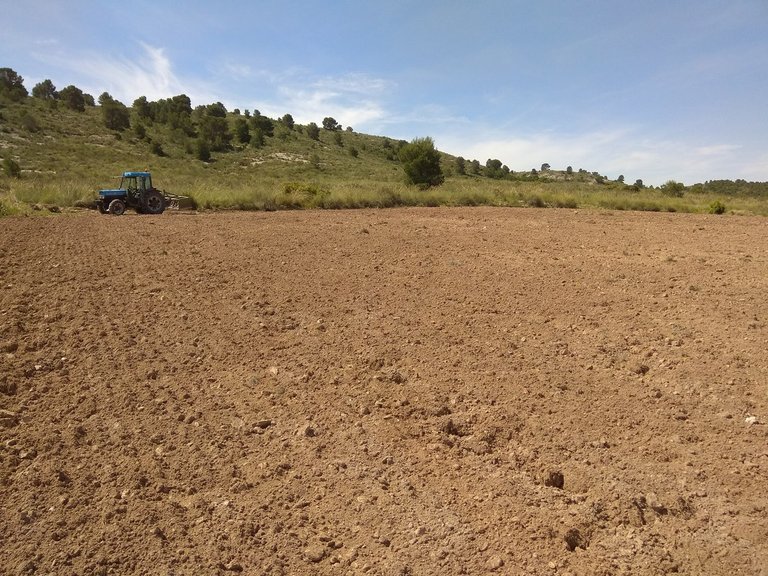 Plot for Sale in Yecla, Murcia 1