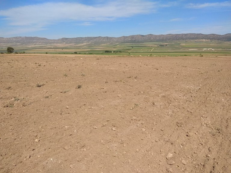 Plot for Sale in Yecla, Murcia 2