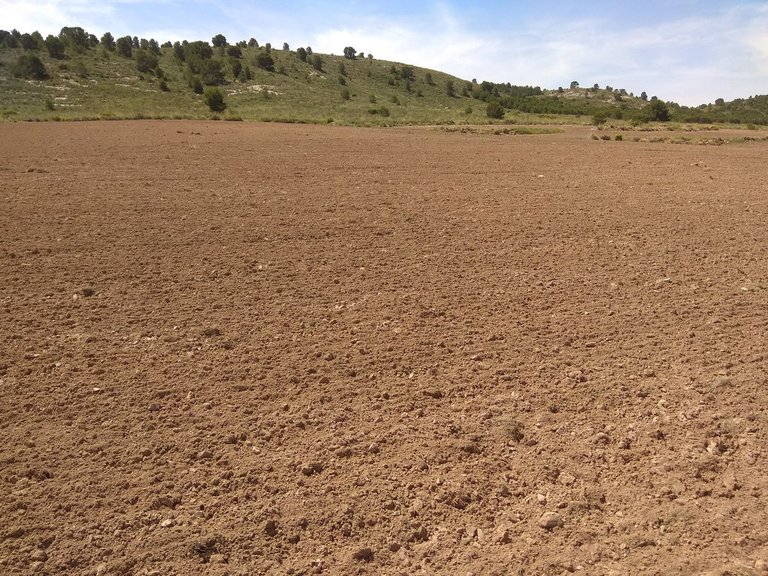 Plot for Sale in Yecla, Murcia 8