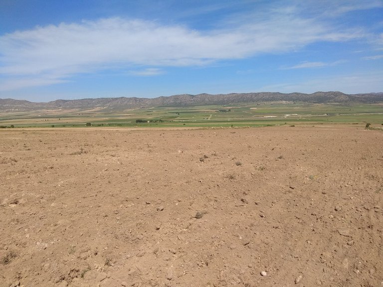 Plot for Sale in Yecla, Murcia 7