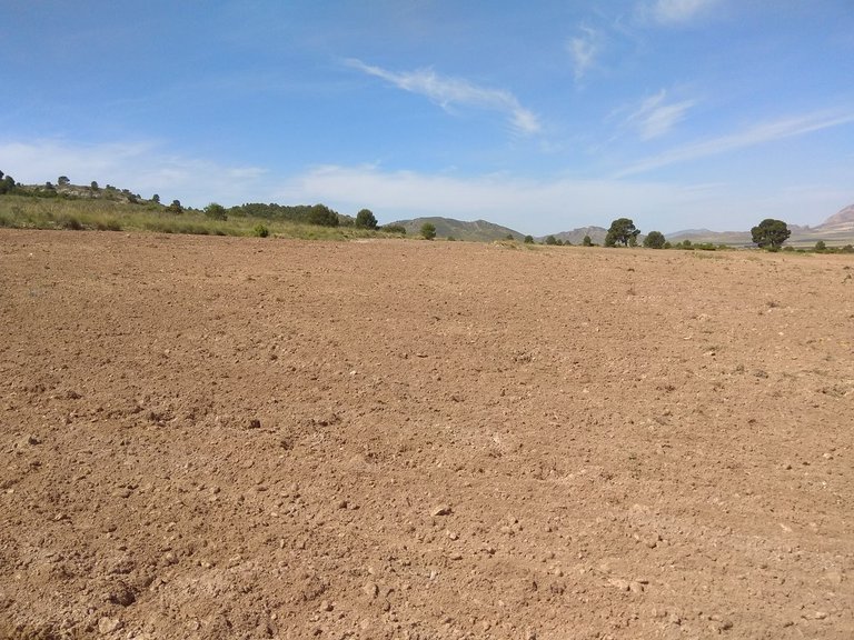 Plot for Sale in Yecla, Murcia 4